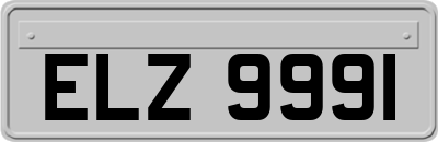 ELZ9991