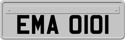 EMA0101