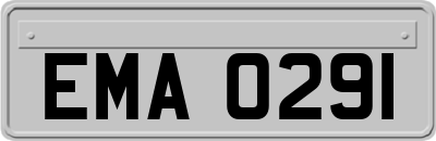 EMA0291