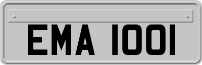 EMA1001