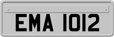 EMA1012