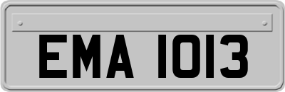 EMA1013
