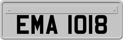 EMA1018