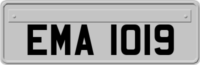 EMA1019