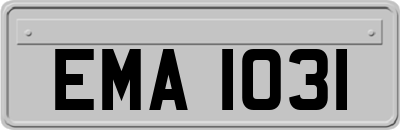 EMA1031