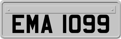 EMA1099