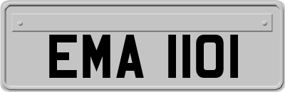 EMA1101