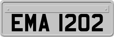 EMA1202