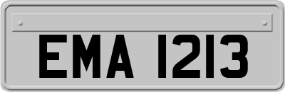 EMA1213