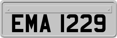 EMA1229