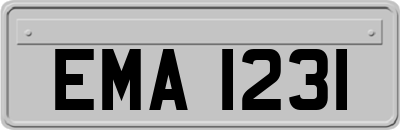 EMA1231
