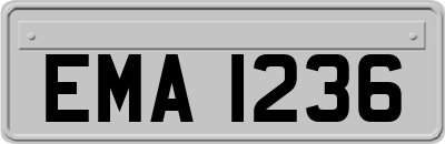 EMA1236