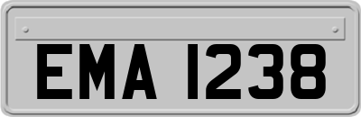EMA1238