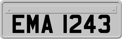 EMA1243
