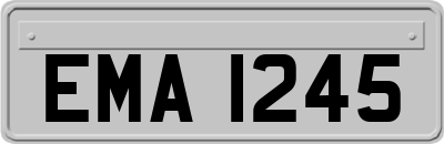 EMA1245