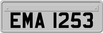 EMA1253