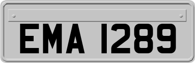 EMA1289
