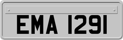 EMA1291