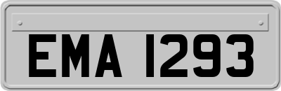 EMA1293