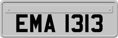 EMA1313