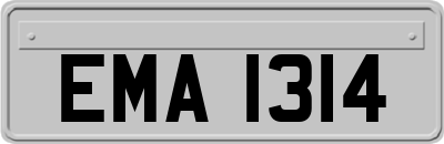EMA1314