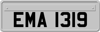 EMA1319