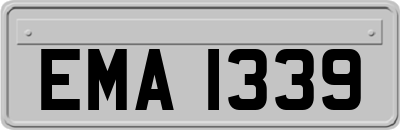 EMA1339