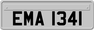 EMA1341