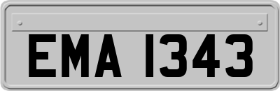EMA1343