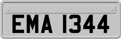 EMA1344