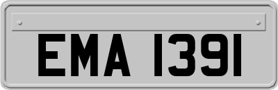 EMA1391