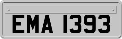EMA1393
