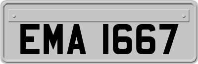 EMA1667
