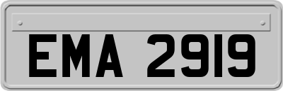 EMA2919
