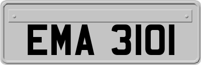 EMA3101