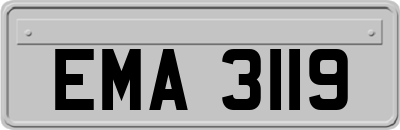 EMA3119