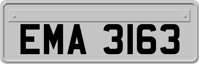 EMA3163