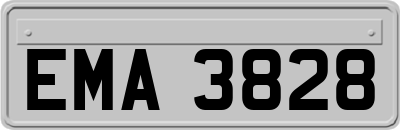 EMA3828