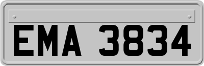 EMA3834