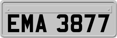 EMA3877