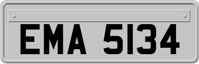 EMA5134