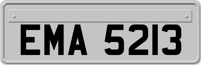 EMA5213