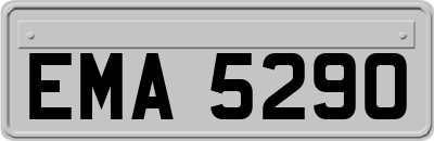 EMA5290