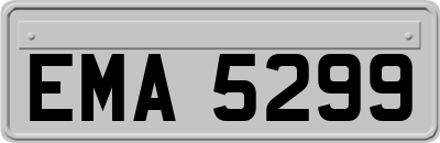 EMA5299
