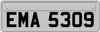EMA5309