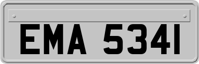 EMA5341