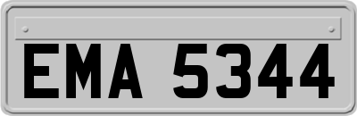 EMA5344