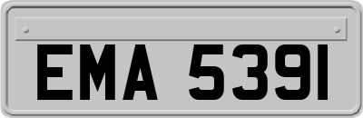 EMA5391