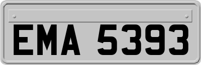 EMA5393