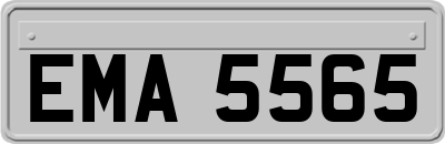 EMA5565